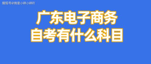 自考电子商务专业怎么学