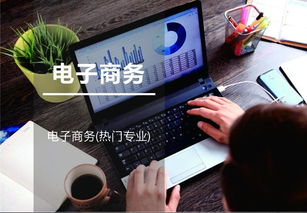 电子商务专业三年目标