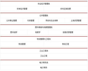 和电子商务同类别的专业