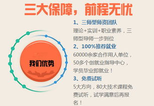 电子商务专业的一级学科